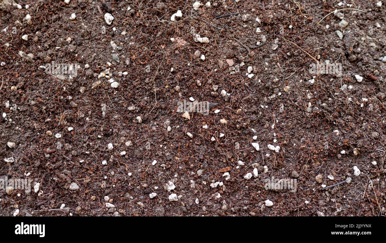 Potting suolo mix texture sfondo Foto Stock