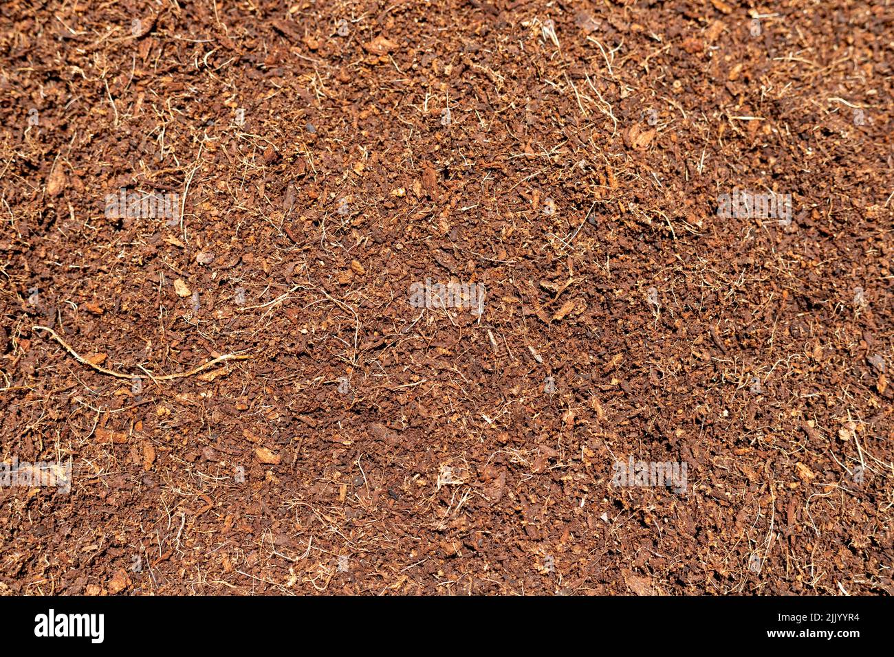 Primo piano di cocopeat o coco torba di fondo Foto Stock