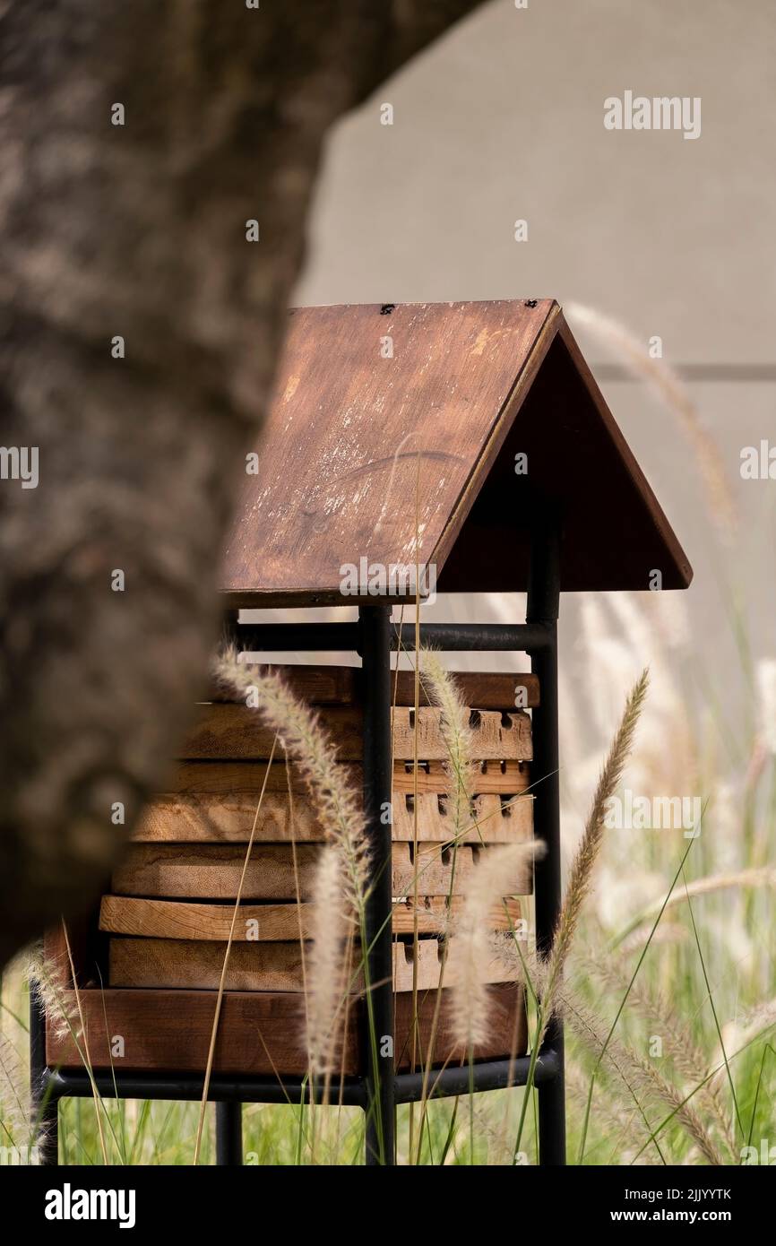 Casa di riposo per le api, alveare per le api Foto Stock