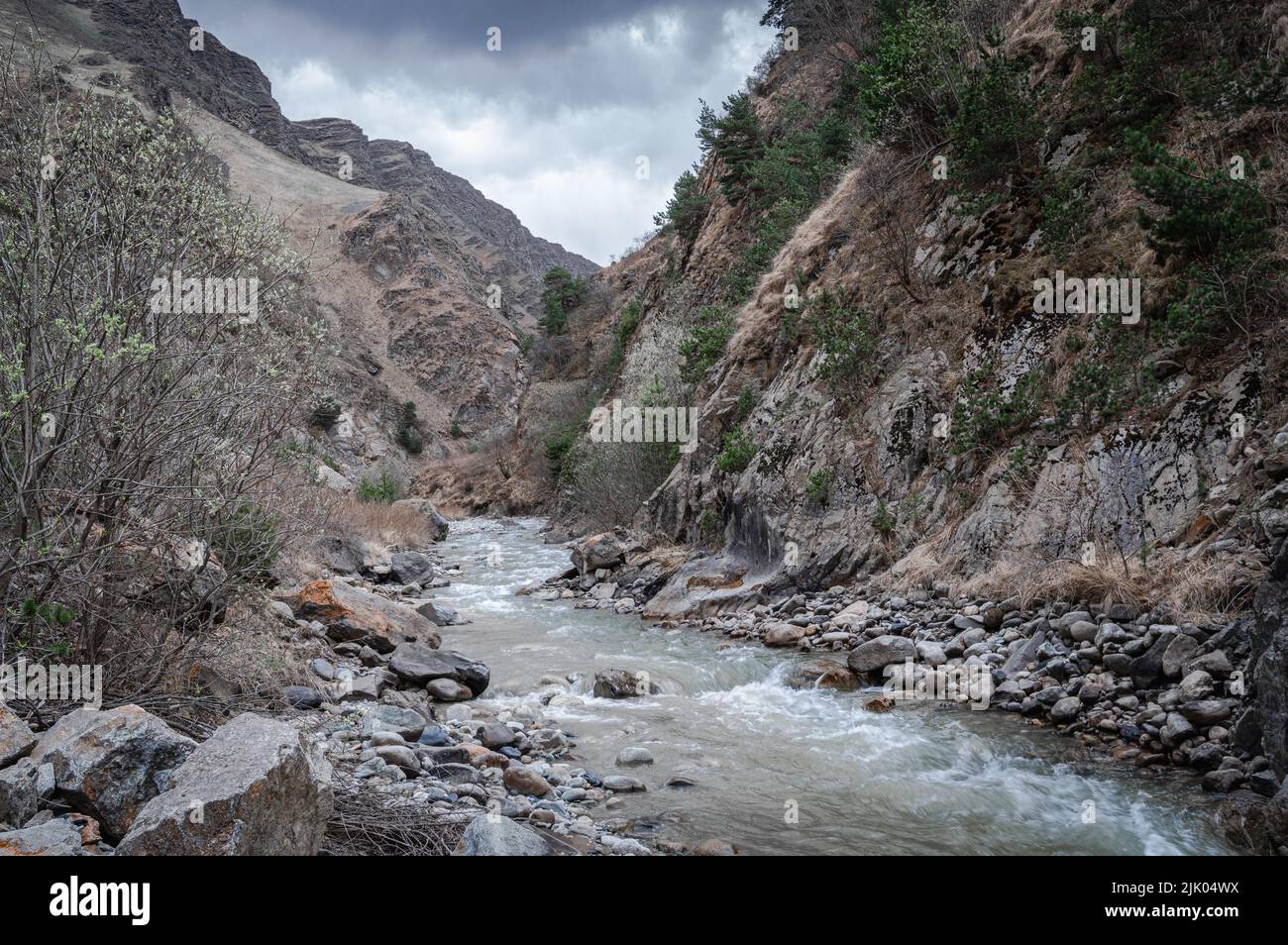 Vista pittoresca di un torrente di montagna che attraversa la gola. Digoria, Ossezia settentrionale. Foto Stock