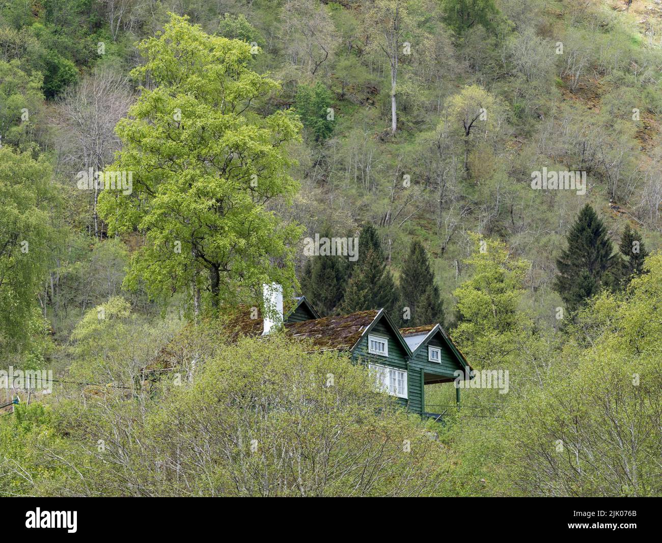 Cottage nella foresta sopra il lago Oldevatn, Norvegia Foto Stock