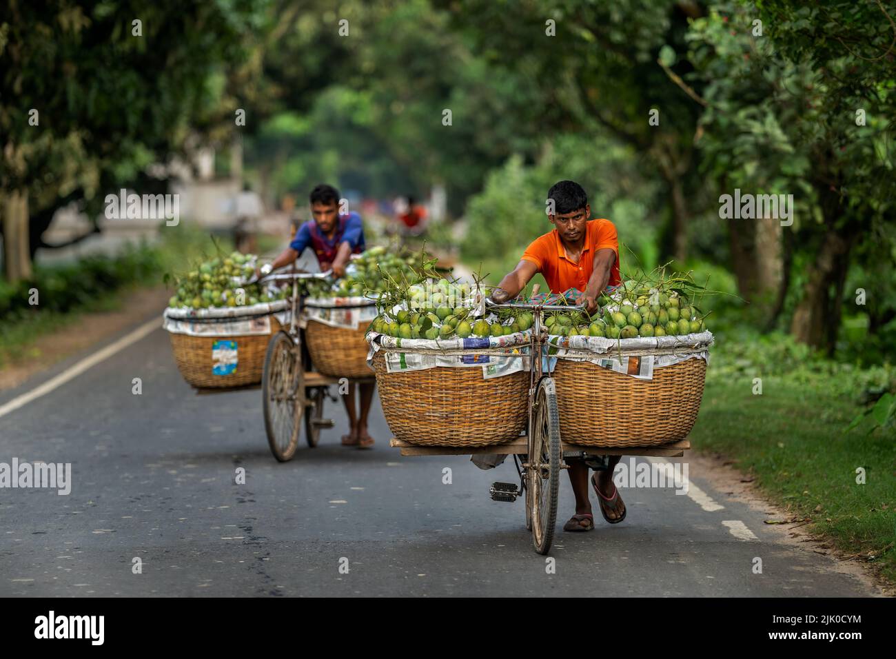 Mercato all'ingrosso del mango a Kansat a Chapainawabganj, Bangladesh. Foto Stock