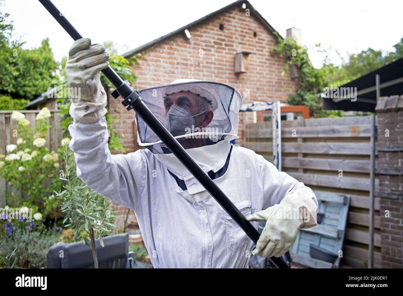 2022-07-29 08:58:27 RENKUM - Frits Jollie di Jollie Wasp Control combatte un nido di vespa dietro la grondaia di una casa. I combattenti del WASP sono ora molto occupati dopo alcuni anni relativamente tranquilli. Il fastidio delle vespe si verifica di solito alla fine di luglio, quando i nidi sono pronti e gli operai iniziano a cercare cibo. ANP OLAF KRAAK paesi bassi OUT - belgio OUT Foto Stock