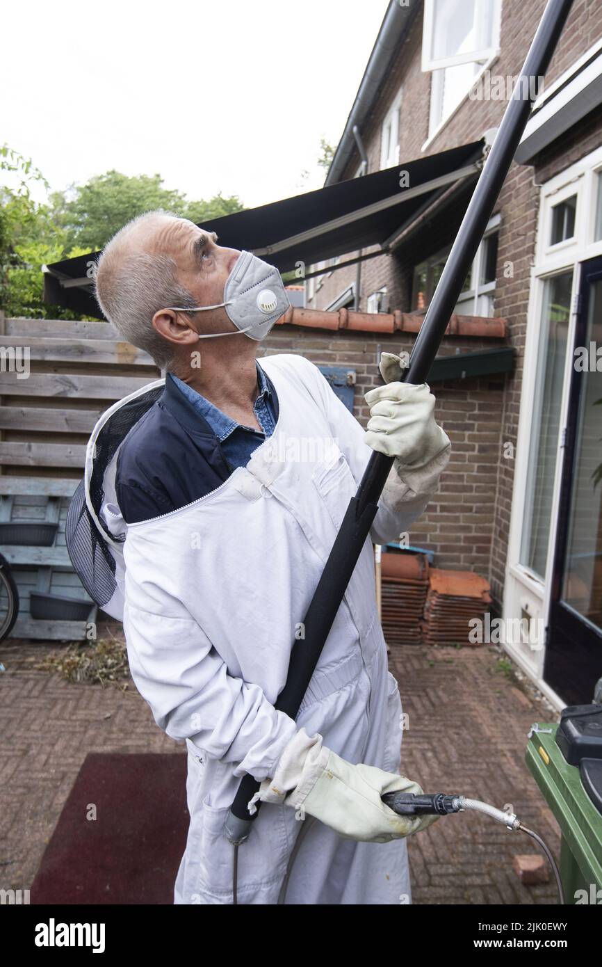 2022-07-29 09:02:09 RENKUM - Frits Jollie di Jollie Wasp Control combatte un nido di vespa dietro la grondaia di una casa. I combattenti del WASP sono ora molto occupati dopo alcuni anni relativamente tranquilli. Il fastidio delle vespe si verifica di solito alla fine di luglio, quando i nidi sono pronti e gli operai iniziano a cercare cibo. ANP OLAF KRAAK paesi bassi OUT - belgio OUT Foto Stock