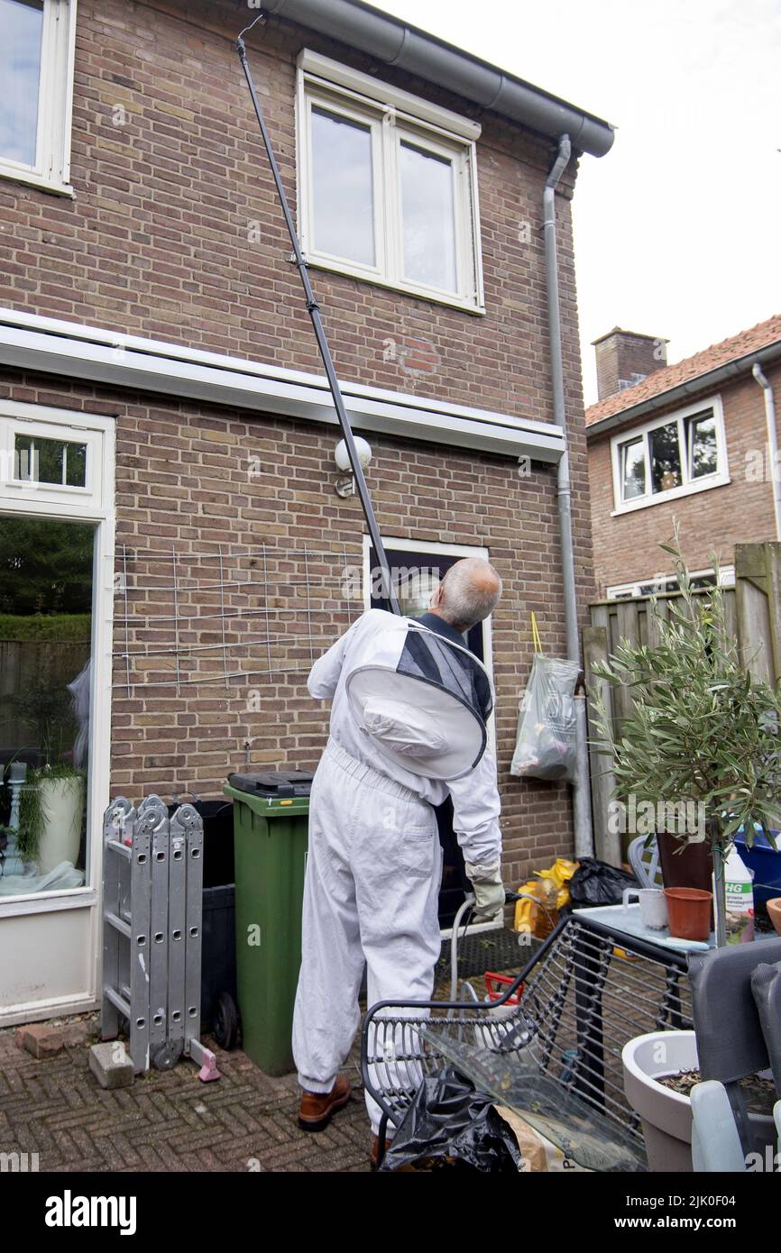 2022-07-29 09:01:04 RENKUM - Frits Jollie di Jollie Wasp Control combatte un nido di vespa dietro la grondaia di una casa. I combattenti del WASP sono ora molto occupati dopo alcuni anni relativamente tranquilli. Il fastidio delle vespe si verifica di solito alla fine di luglio, quando i nidi sono pronti e gli operai iniziano a cercare cibo. ANP OLAF KRAAK paesi bassi OUT - belgio OUT Foto Stock