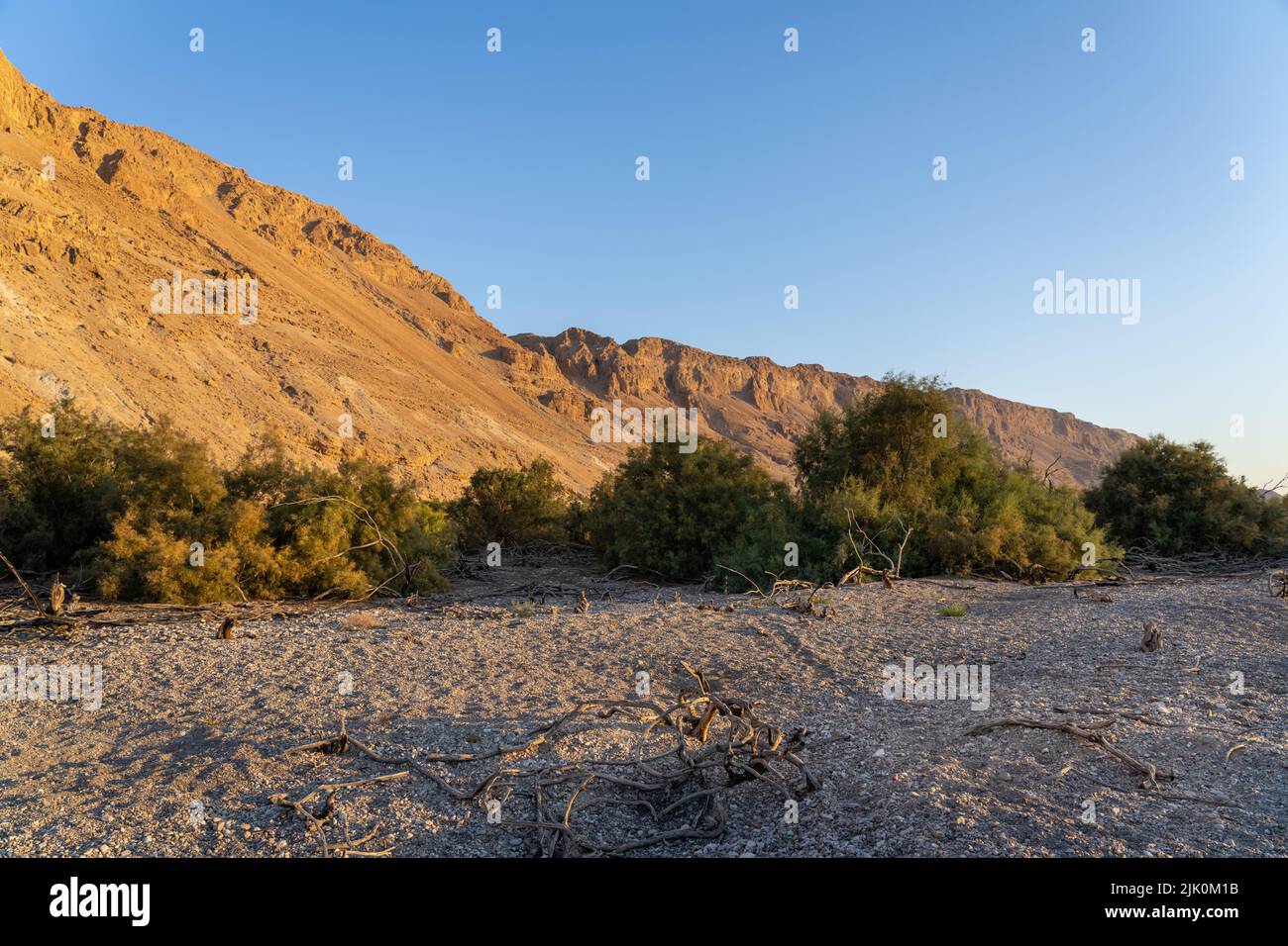 Ein Feshkha (Einot Tzukim) è una riserva naturale e sito archeologico sulla riva nord-occidentale del Mar Morto, a circa tre chilometri a sud di Qumr Foto Stock