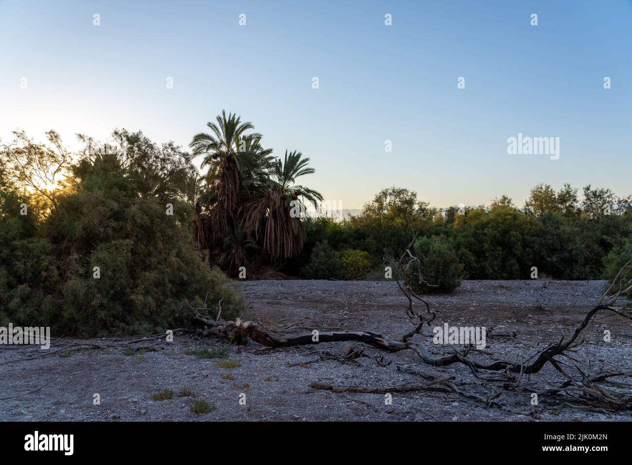 Ein Feshkha (Einot Tzukim) è una riserva naturale e sito archeologico sulla riva nord-occidentale del Mar Morto, a circa tre chilometri a sud di Qumr Foto Stock