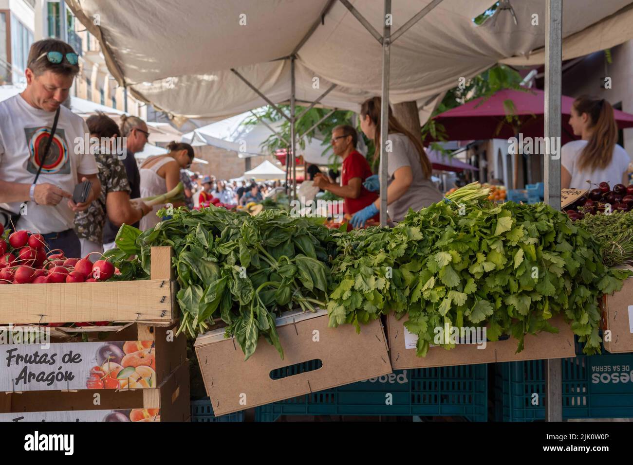 Santanyi, Spagna; luglio 09 2022: Mercato settimanale di strada nella città di Mallorcan di Santanyi. Bancarelle di frutta e verdura. Isola di Maiorca, Spagna. Foto Stock