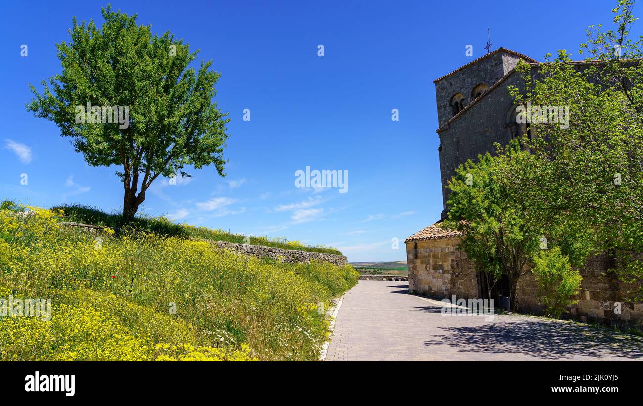 Paesaggio con alberi e fiori gialli nella città vecchia e giorno di sole. Spagna. Foto Stock