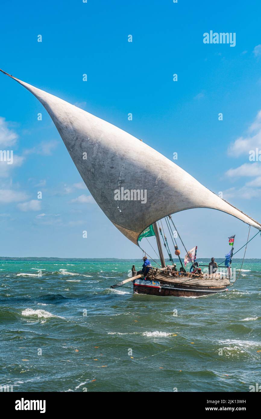 Dhow tradizionale vela nell'Oceano Indiano, isola di Lamu, Kenya Foto Stock