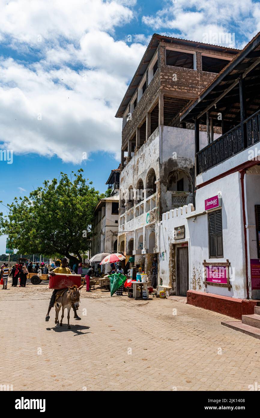 Città di Lamu, patrimonio dell'umanità dell'UNESCO, isola di Lamu, Kenya Foto Stock