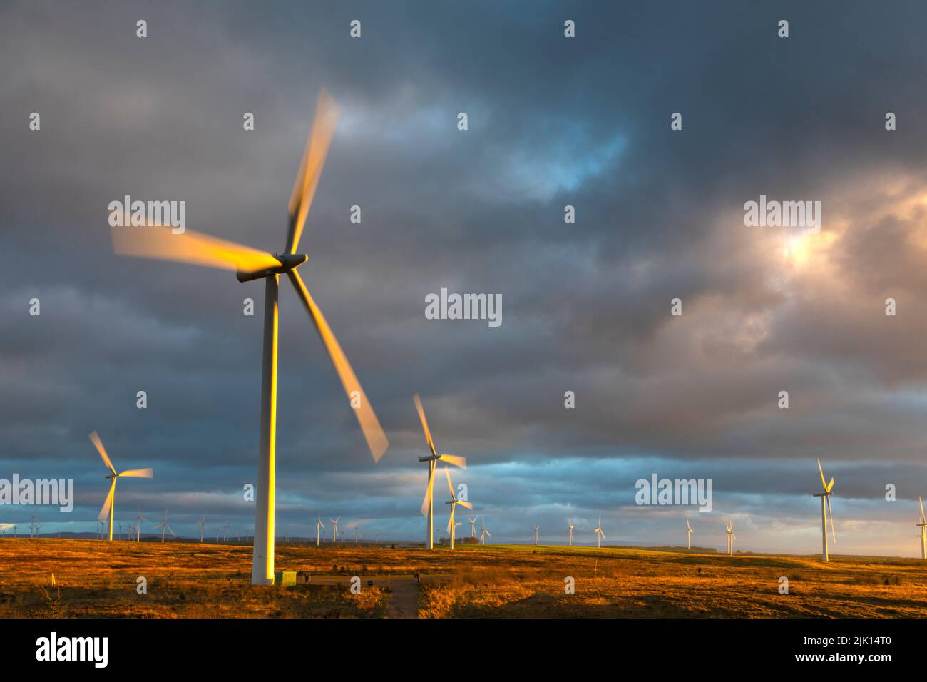 Turbine eoliche al tramonto con cielo tempestoso, Whitelee Windfarm, East Renfrewshire, Scozia, Regno Unito, Europa Foto Stock