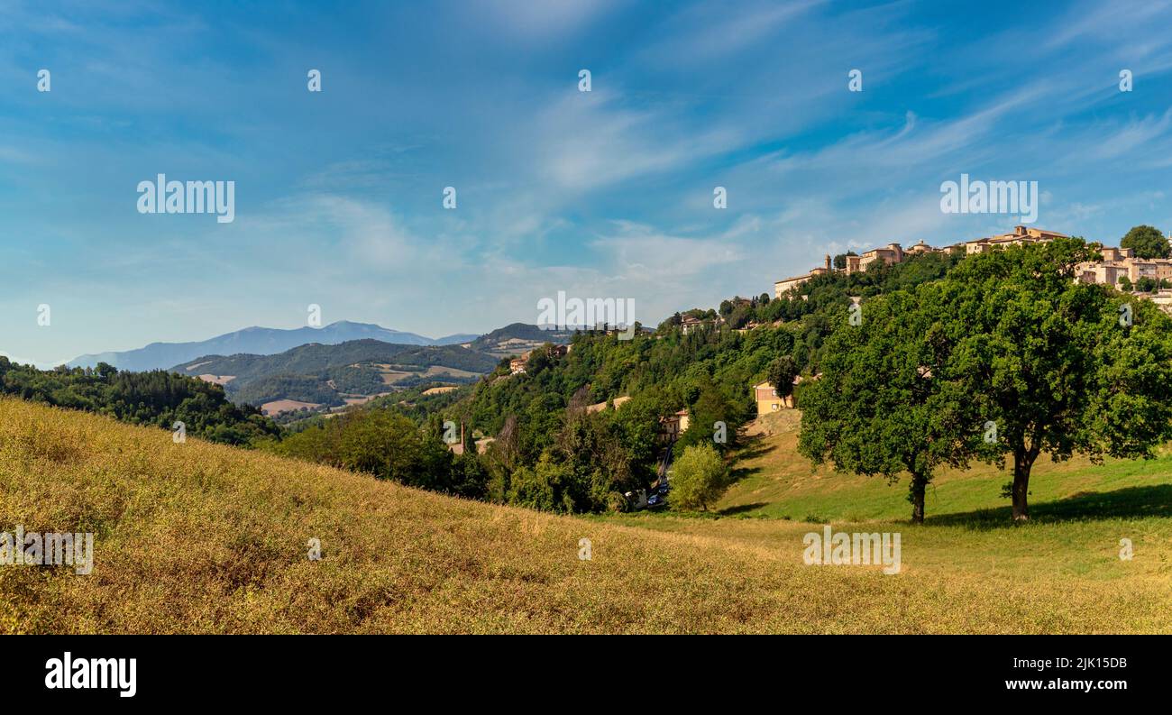 Il paesaggio con i colori dell'estate intorno alla città di Urbino, Urbino, Marche, Italia, Europa Foto Stock