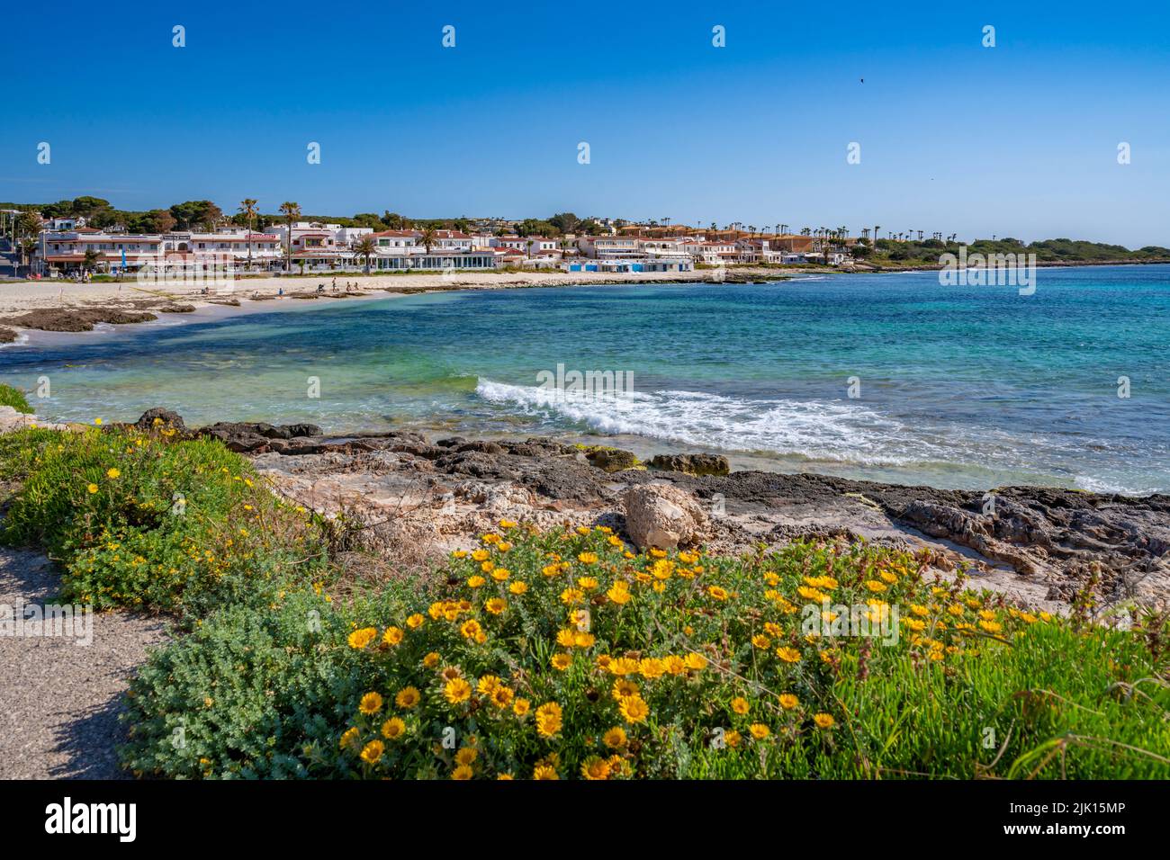 Vista mare e fiori primaverili a Playa Punta prima, Punta prima, Minorca, Isole Baleari, Spagna, Mediterraneo, Europa Foto Stock