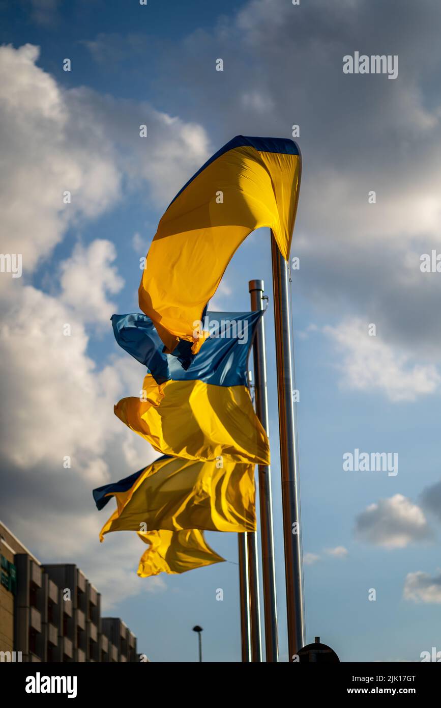 Un colpo verticale di bandiere ucraine su palangi con il cielo nuvoloso blu sullo sfondo Foto Stock