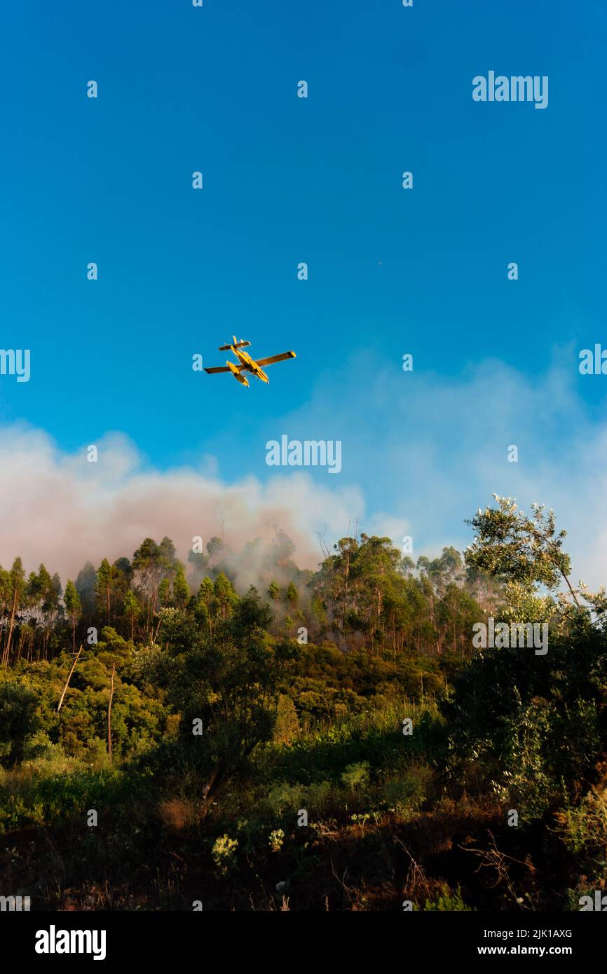 Un colpo verticale di un aereo nel cielo che combatte le fiamme del fuoco nella foresta Foto Stock