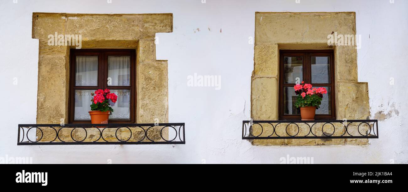 Due finestre di una vecchia casa con un muro bianco e vasi di fiori. Santander. Foto Stock