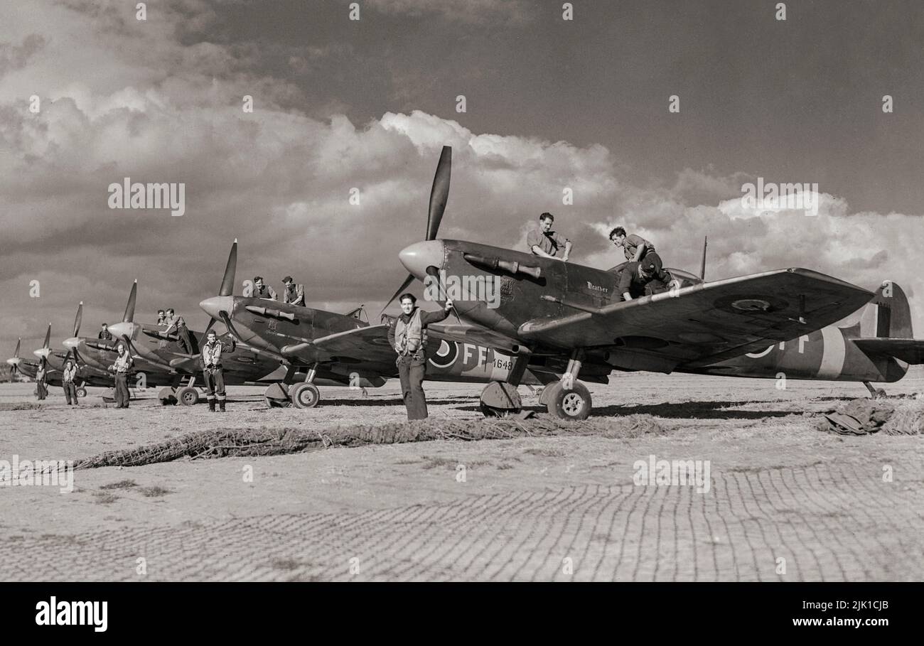 I piloti e gli equipaggi di terra del No. 132 Squadron, RAF posano per il fotografo con il loro Supermarine Spitfire Mark VBS, schierato a Newchurch, Kent. Lo Spitfire era un aereo da combattimento britannico a posto singolo utilizzato dalla Royal Air Force e da altri paesi alleati prima, durante e dopo la seconda guerra mondiale Molte varianti di Spitfire sono state costruite utilizzando diverse configurazioni di ala. Era l'unico combattente britannico prodotto continuamente durante la guerra. Foto Stock