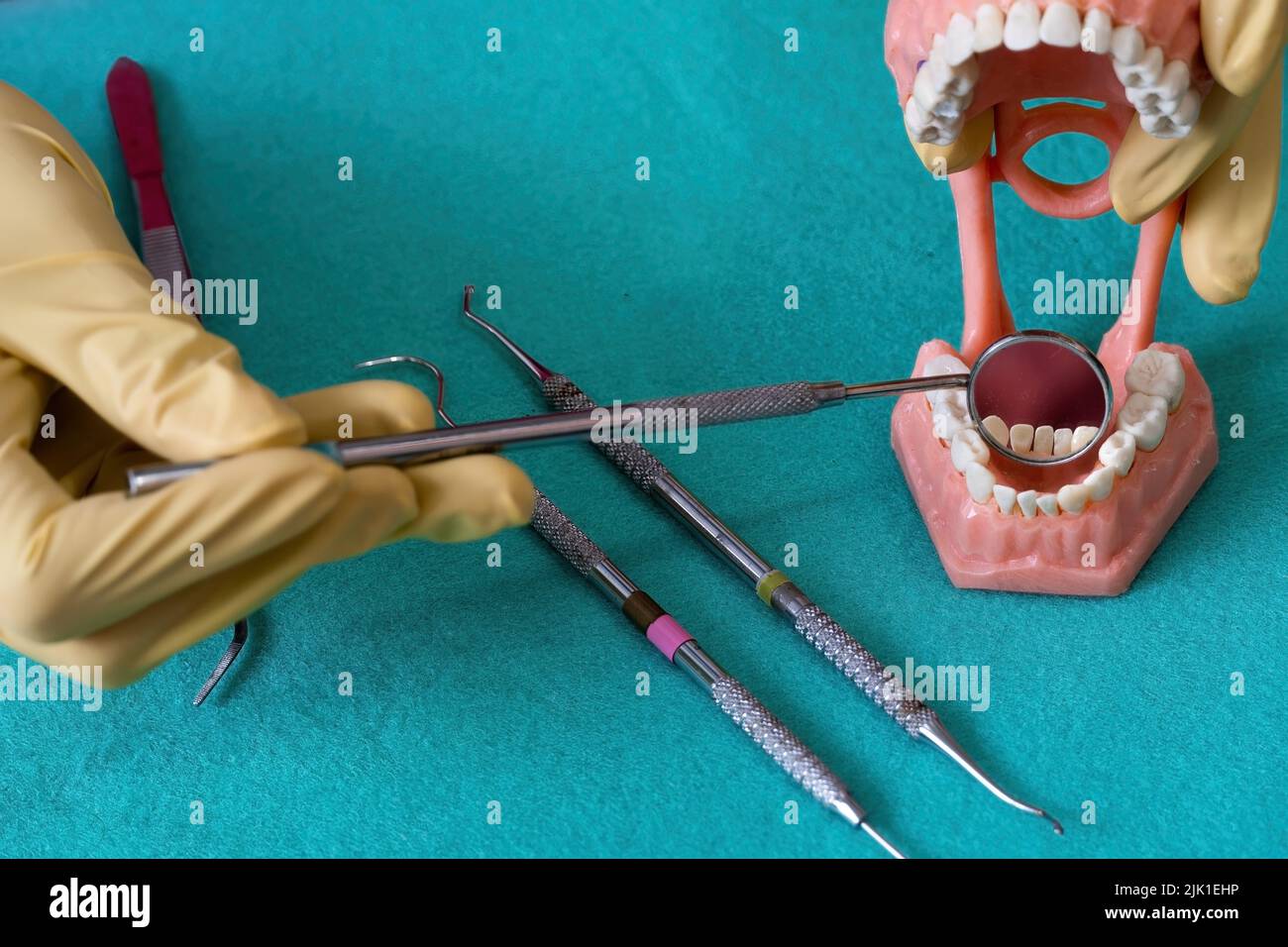 Il dentista tiene le dentarie nelle sue mani. Foto Stock