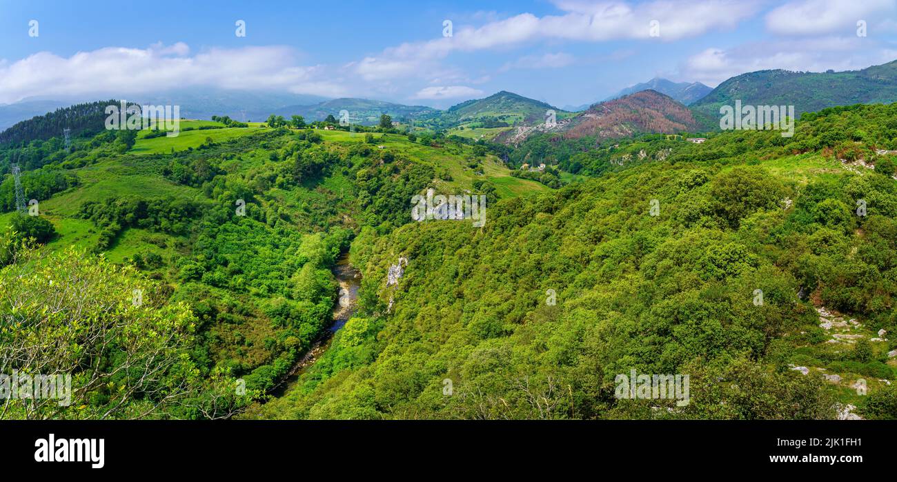Vista aerea di una valle lussureggiante di vegetazione verde e alte montagne. Santander. Foto Stock