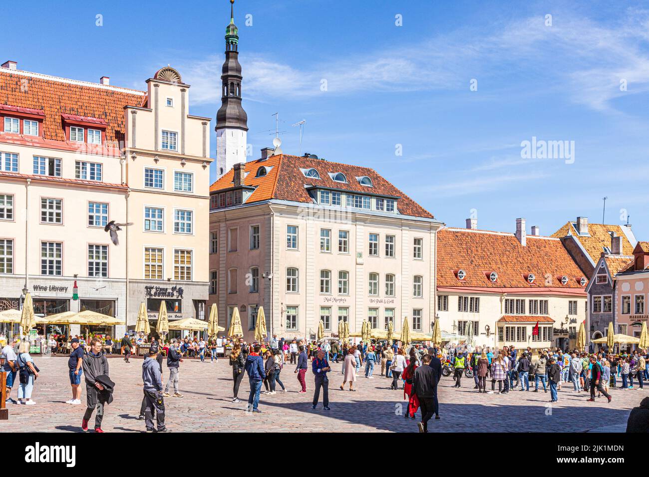 La vivace Piazza del Municipio nella Città Vecchia di Tallinn, la capitale dell'Estonia Foto Stock