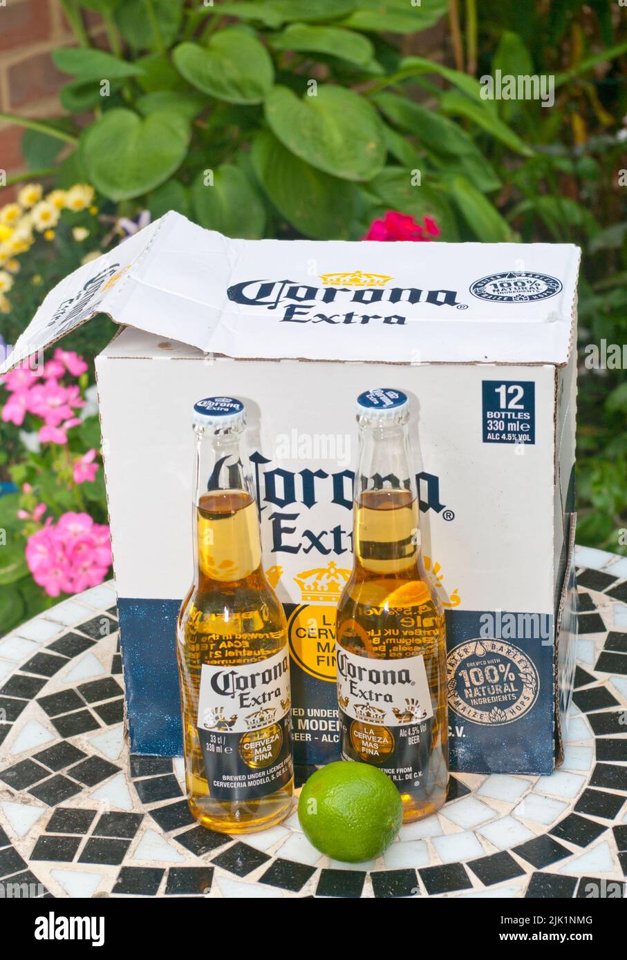 Scatola e bottiglie di birra messicana Corona Extra con lime Foto Stock