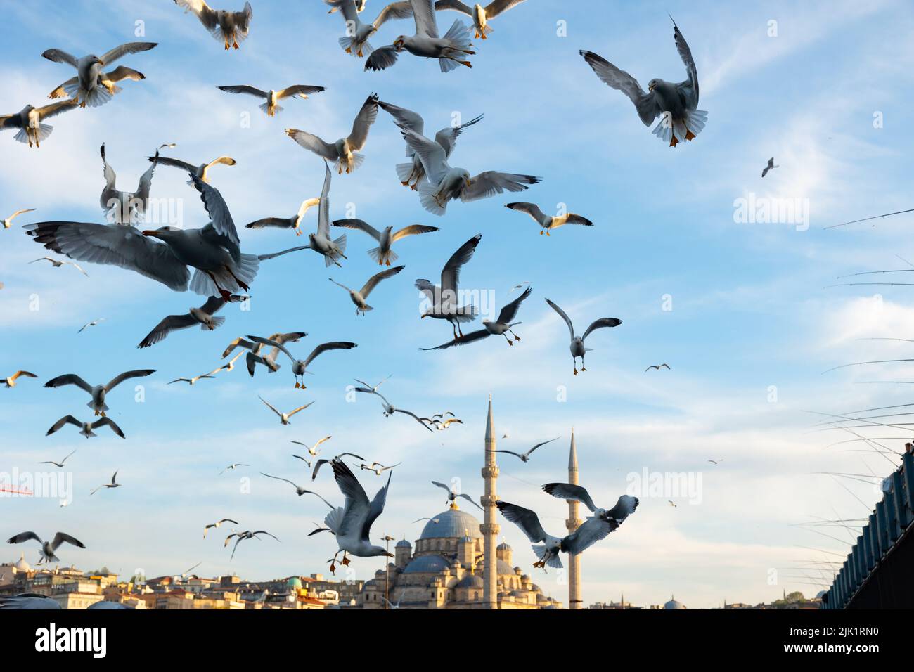 Istanbul e gabbiani. Seagulls e Yeni Cami o Nuova moschea di Eminonu. Viaggio a Istanbul foto di sfondo. Foto Stock