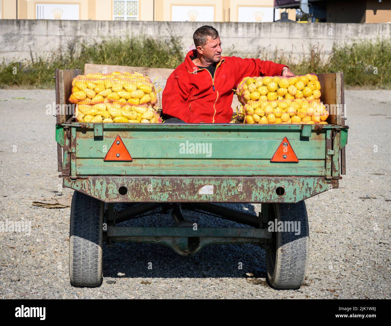 Vendere i peperoni in un mercato agricolo nel piccolo villaggio di Xërxë vicino a Gjakova nella Repubblica del Kosovo, nei Balcani centrali. Foto Stock