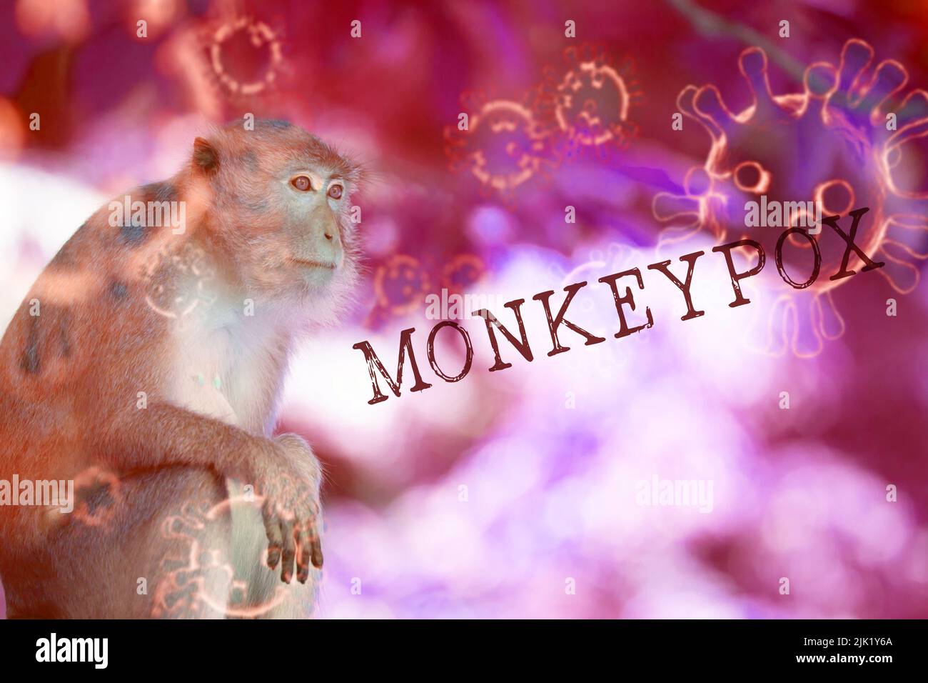 Monkeypox malattia focolaio concetto. Monkeypox è una malattia zoonotica virale, trasmessa all'uomo da animali. Foto Stock
