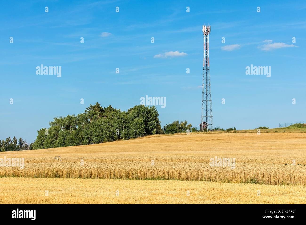 La torre di comunicazione di ferro sulla collina con campo di grano. Agricoltura. Grano crescente. Commercio di grano. Nuove antenne GSM su una torre alta contro un cielo blu Foto Stock