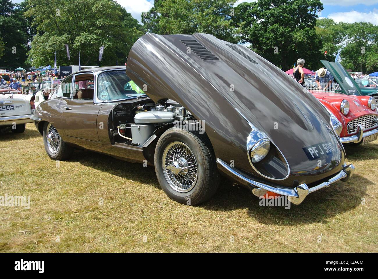 Una Jaguar di tipo e 1968 parcheggiata in esposizione al 47th Historic Vehicle Gathering Classic Car Show, Powderham, Devon, Inghilterra, Regno Unito. Foto Stock