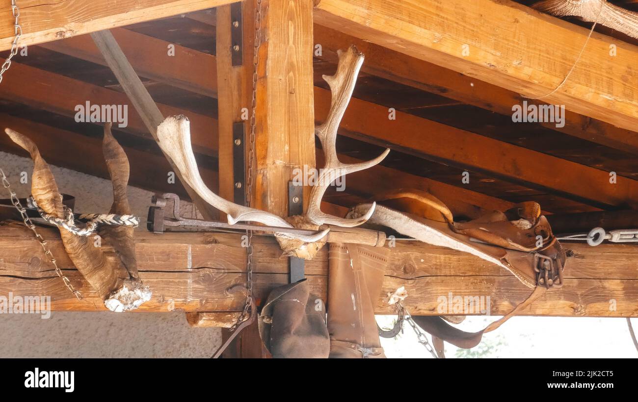 corna di cervi su una trave di legno Foto Stock