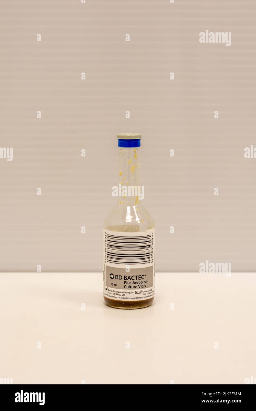 Fotografia di una bottiglia di emocoltura per batteri aerobici Foto Stock