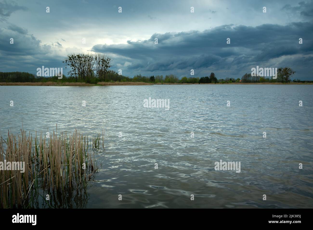 Nuvole scure sera sul lago con canne, vista della primavera Foto Stock