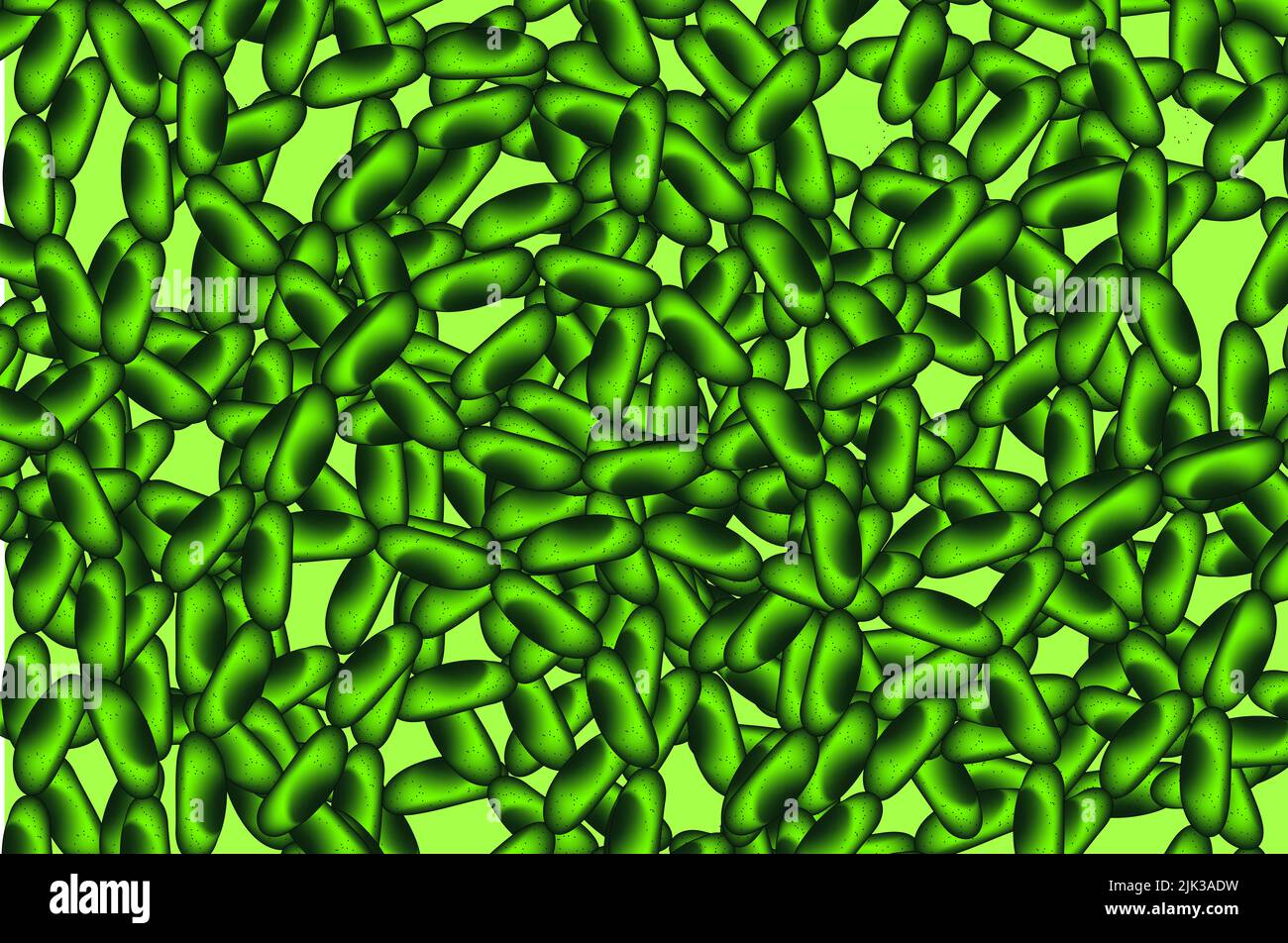 Cianobatteri Foto Stock