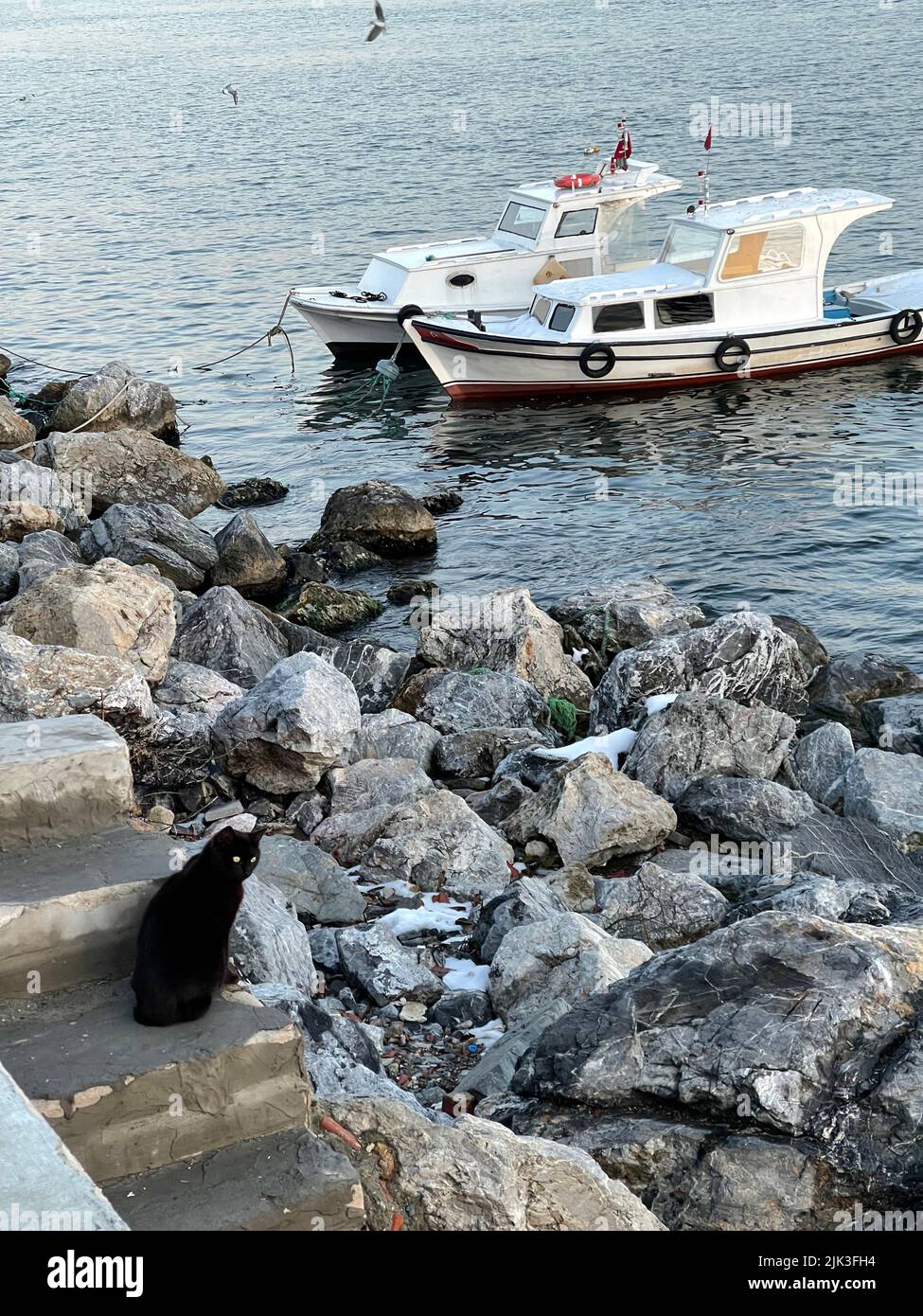 Barca a vela sul mare al tramonto Foto Stock