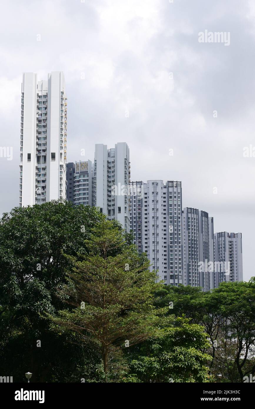 vista ad angolo basso degli edifici residenziali di singapore Foto Stock