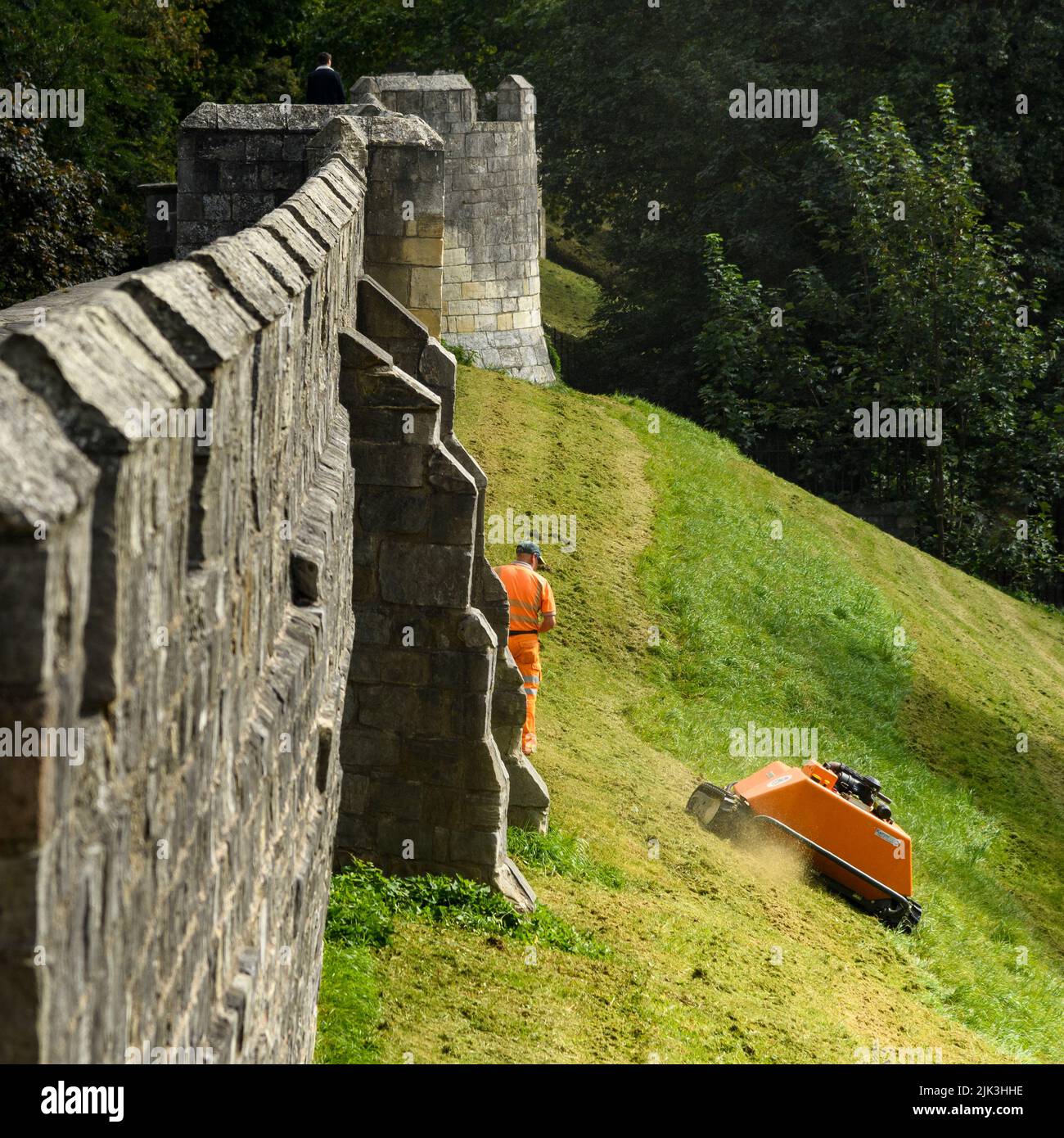 Erba pendenza falciata da telecomando arancione robot rasaerba (KommTek RoboFlail) e lavoratore in hi-vis - York City Walls storico, Yorkshire, Inghilterra, Regno Unito. Foto Stock