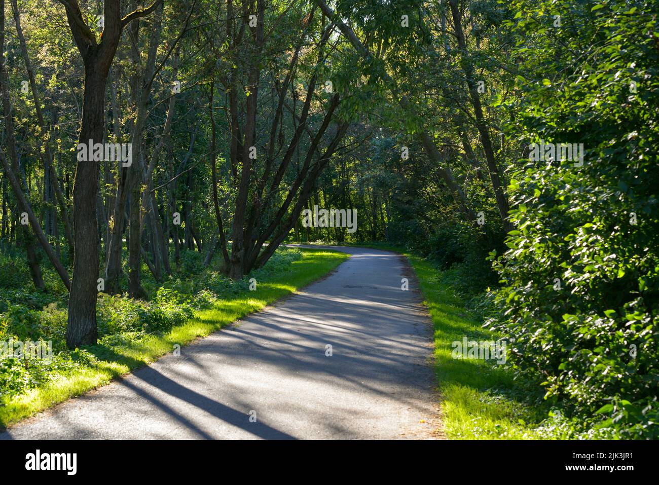 Sentiero asfaltato per turisti pedonali, che conduce attraverso alberi verdi nella foresta, che creano un'ombra sul sentiero per un più piacevole r Foto Stock