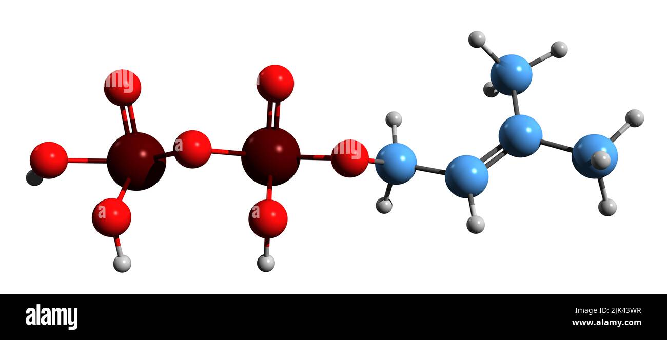 3D immagine di formula scheletrica di dimetilallil pirofosfato - struttura chimica molecolare di DMAPP isolato su sfondo bianco Foto Stock