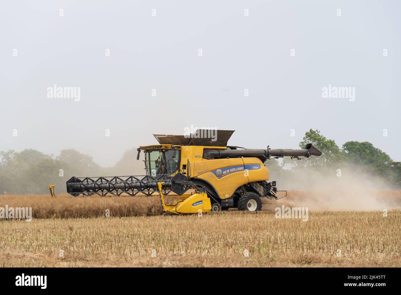 Raccolta della mietitrebbia a Hasketon, Suffolk Foto Stock