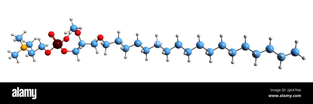 3D immagine di formula scheletrica di Edelfosina - struttura chimica molecolare di alchil-lisofosfolipide isolato su sfondo bianco Foto Stock
