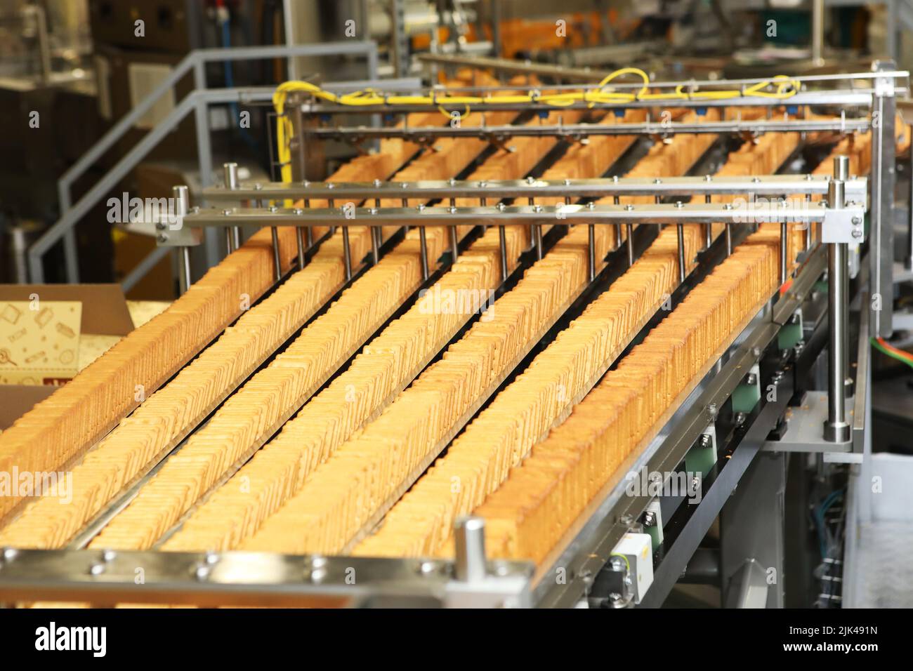 Grande fabbrica di biscotti. Una linea di biscotti in una grande fabbrica. Imballare i cracker sulla macchina. Produzione innovativa Foto Stock