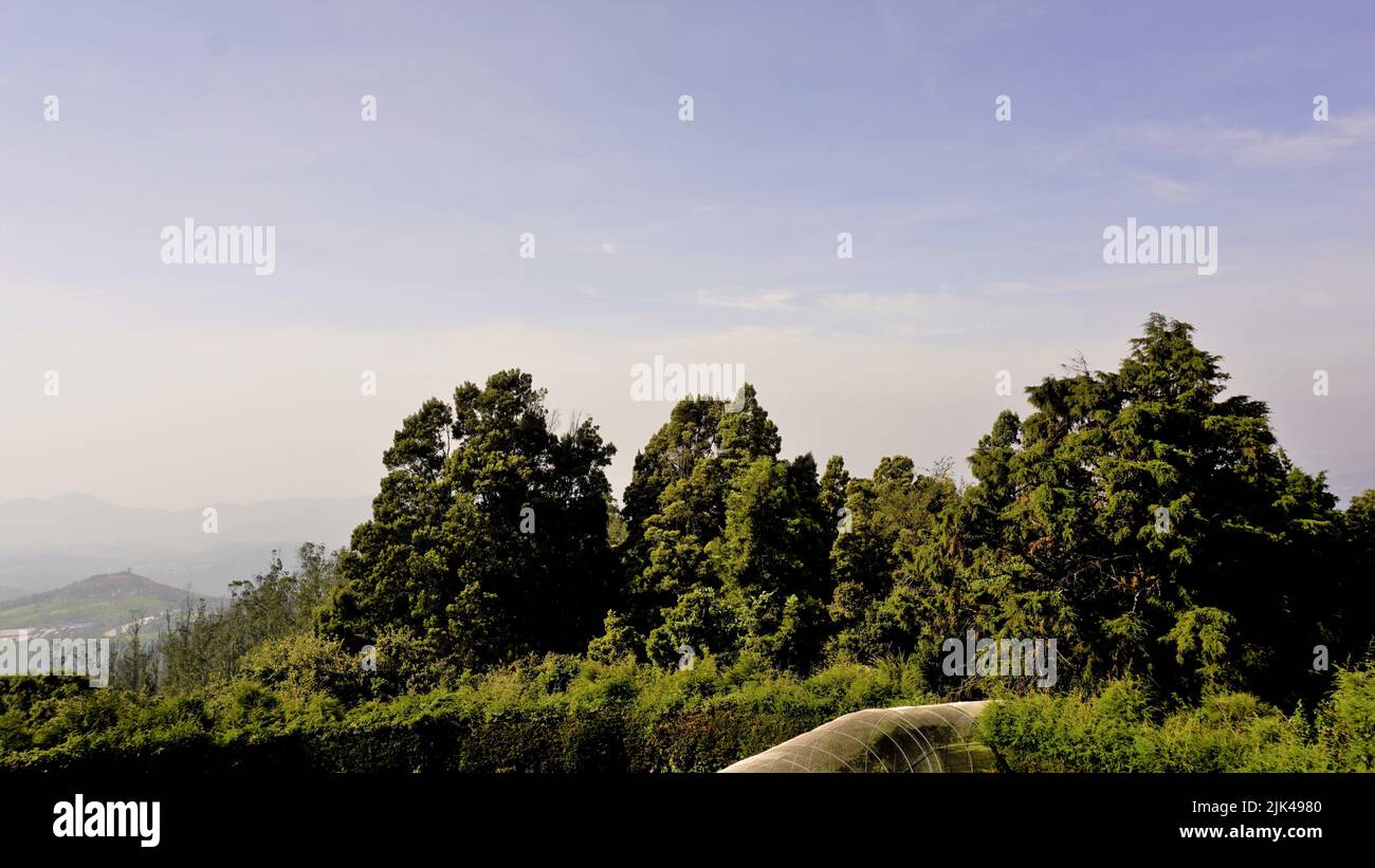 Splendidi paesaggi da Ooty. Migliori immagini di sfondo Foto Stock