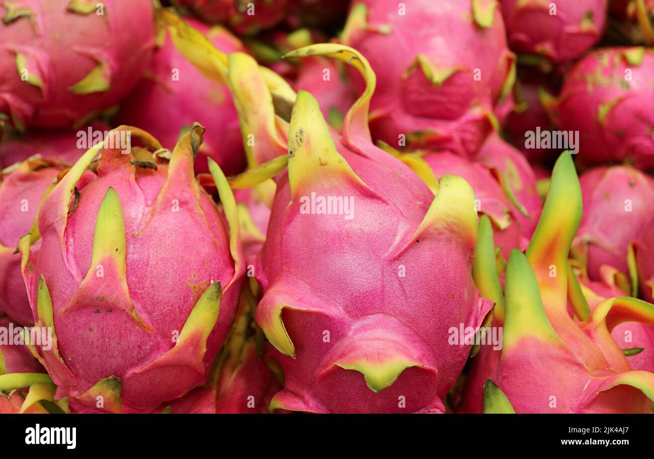 Mucchio di frutta fresca matura del drago (Pitaya) per la vendita sul mercato locale Foto Stock