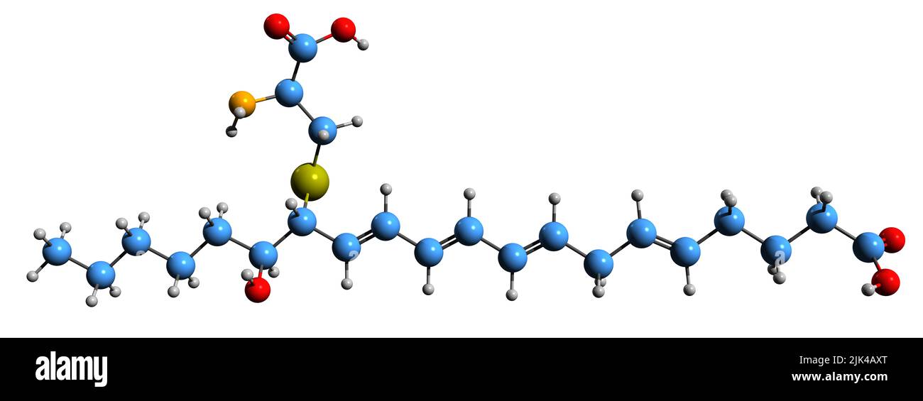 3D immagine di Eoxin E4 formula scheletrica - struttura chimica molecolare del leucotriene E4 isolato su sfondo bianco Foto Stock