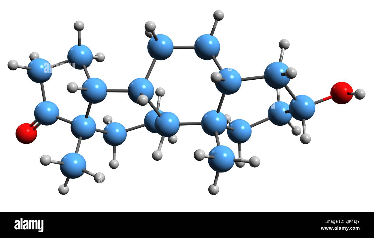 3D immagine di etiocholanolone formula scheletrica - struttura chimica molecolare di Aetiocholanolone isolato su sfondo bianco Foto Stock