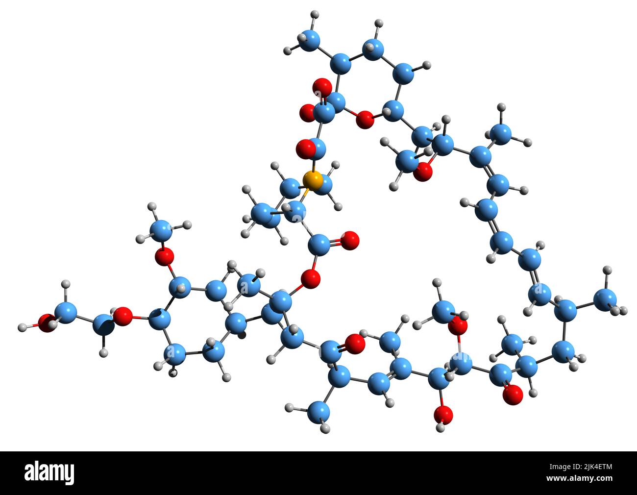 3D immagine di formula scheletrica Everolimus - struttura chimica molecolare di immunosoppressori isolati su sfondo bianco Foto Stock