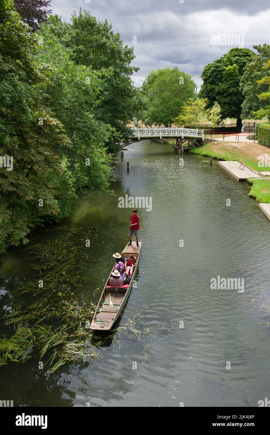 La gente che punisce sul fiume Cherwell in una giornata estiva, Oxford, Regno Unito Foto Stock