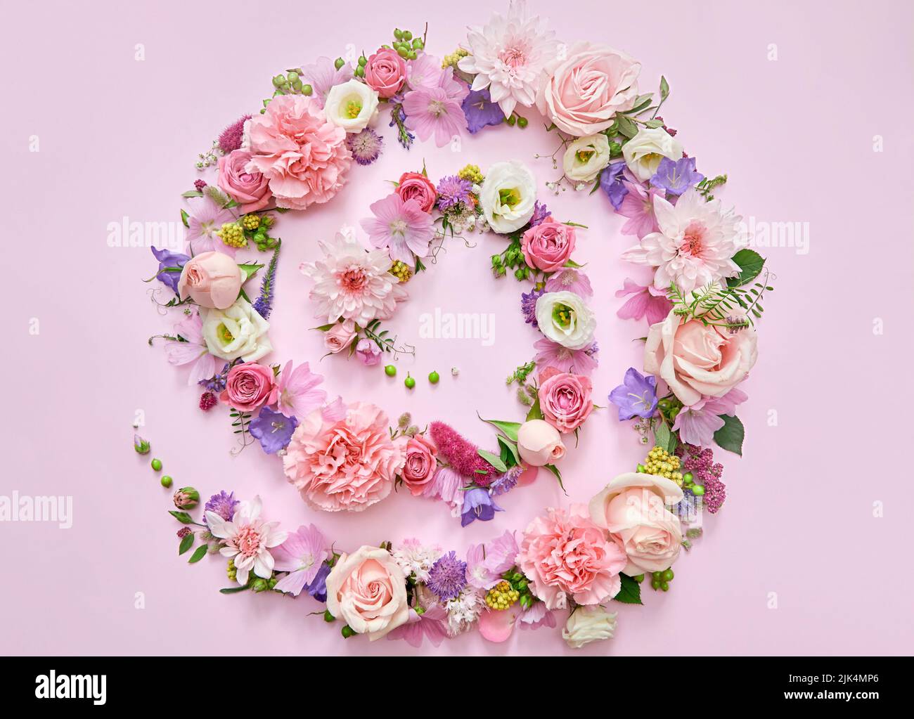 Fiori e foglie spirano su sfondo pastello floreale rosa. Disposizione piatta, vista dall'alto Foto Stock